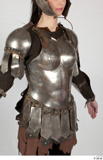  Photos Medieval Knight in plate armor 13 Medieval clothing Medieval knight brown gambeson chest armor upper body 0011.jpg